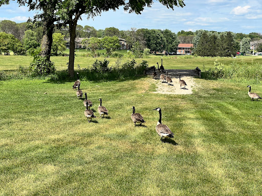 Golf Club «Nine Springs Golf Course», reviews and photos, 2201 Traceway Dr, Fitchburg, WI 53713, USA