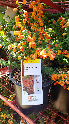 Home Improvement Store «The Home Depot», reviews and photos, 100 1st Ave, Waltham, MA 02451, USA