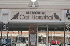 Memorial Cat Hospital