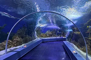 Fakieh Aquarium image
