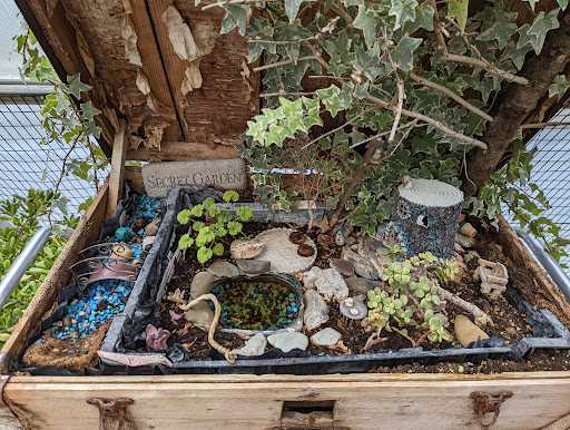 Botanical Garden «Beech Creek Botanical Garden & Nature Preserve», reviews and photos, 11929 Beech St NE, Alliance, OH 44601, USA