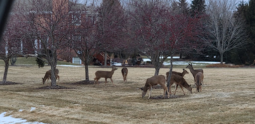 Park «Cary Park District», reviews and photos, 255 Briargate Rd, Cary, IL 60013, USA