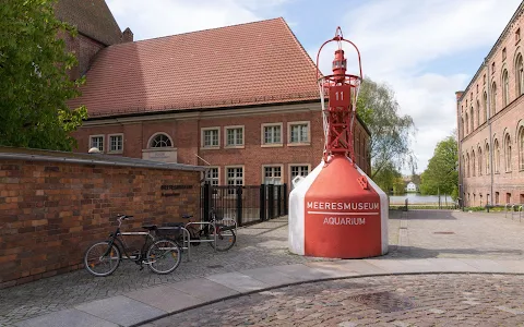 German Oceanographic Museum image