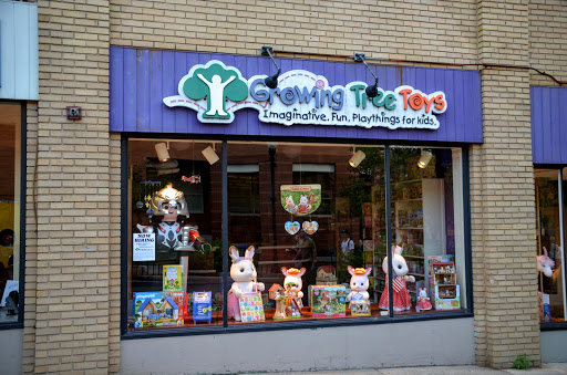 Gift Shop «Growing Tree Toys», reviews and photos, 202 S Allen St, State College, PA 16801, USA