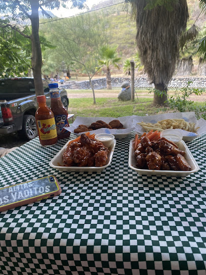 ALITAS LOS VADITOS - Benito Juárez 153, 99830 García de La Cadena, Zac., Mexico