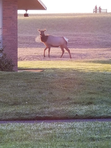 Golf Club «Gearhart Golf Links», reviews and photos, 1157 N Marion Ave, Gearhart, OR 97138, USA