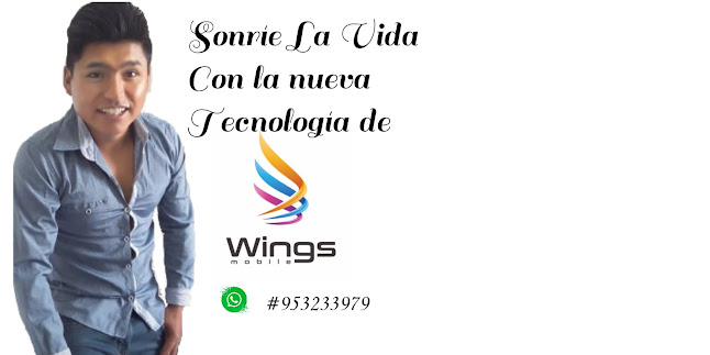 wings-mobile-peru.ueniweb.com