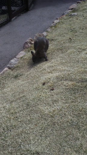 Zoo «Cheyenne Mountain Zoo», reviews and photos, 4250 Cheyenne Mountain Zoo Rd, Colorado Springs, CO 80906, USA