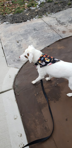 Aquarium Shop «Something Fishy Inc.», reviews and photos, 4764 State Rd, Cleveland, OH 44109, USA