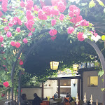 Photo n°2 de l'avis de Klaus.l fait le 08/06/2022 à 17:59 sur le  Deli Wirtshaus à Waldshut-Tiengen