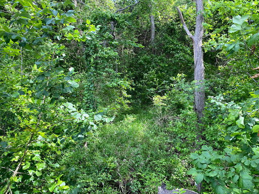 Nature Preserve «Cedar Mountain Nature Preserve», reviews and photos, 1300 Farm to Market 1382, Cedar Hill, TX 75104, USA