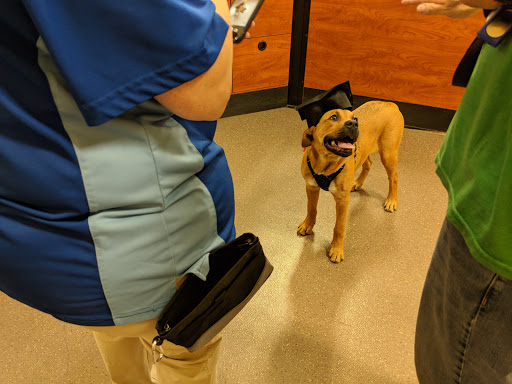 Pet Supply Store «PetSmart», reviews and photos, 2534 South Rd, Poughkeepsie, NY 12601, USA