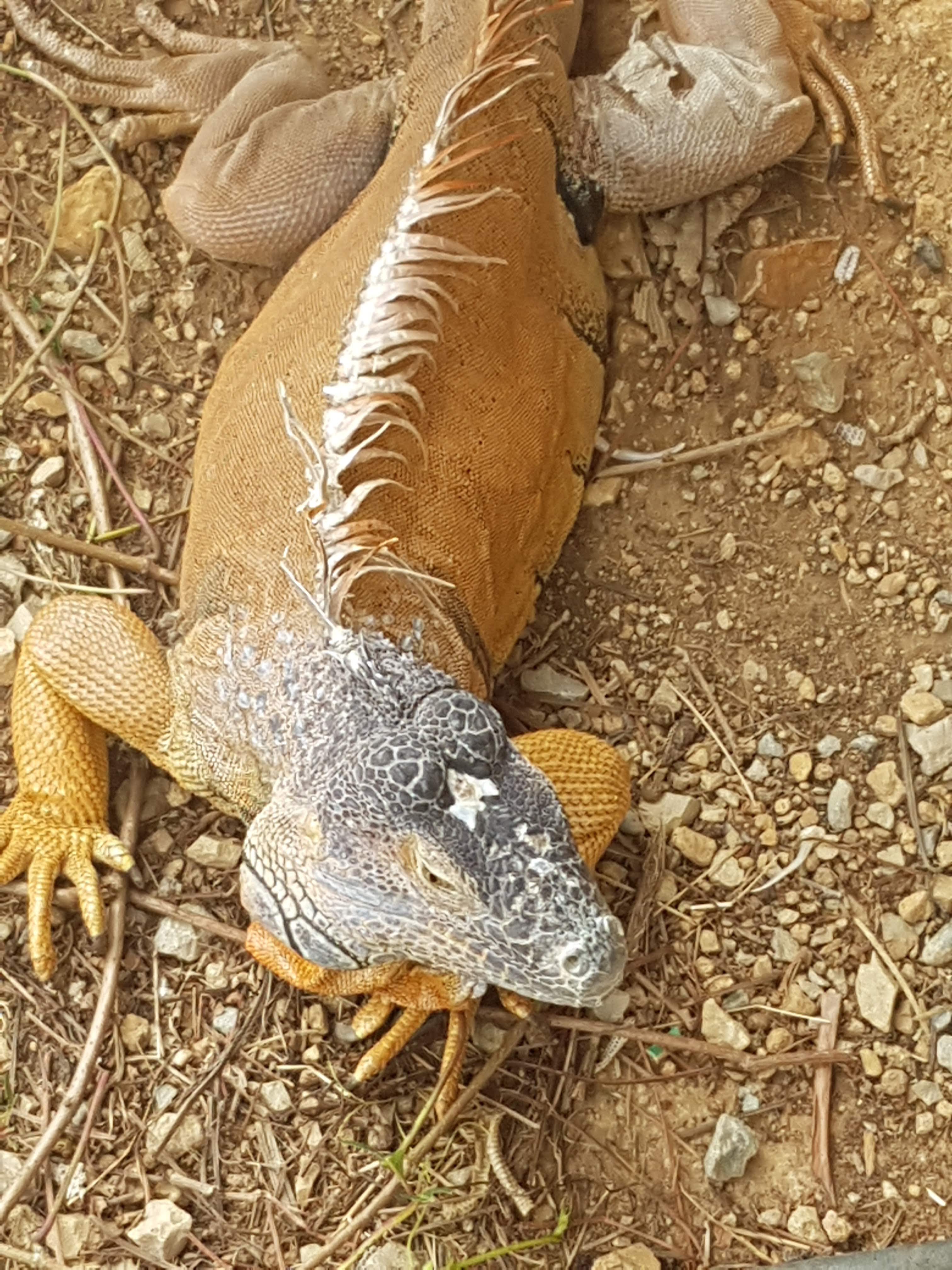 Photo n° 2 de l'avis de Laurent.E fait le 25/08/2018 à 22:09