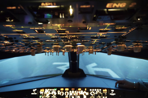 Flight Sim Service