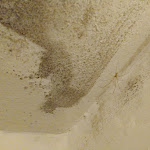 Photo n°2 de l'avis de Giovanni.o fait le 28/08/2020 à 15:39 sur le  Albergo Ristorante Dalla Mena à Romano d'Ezzelino