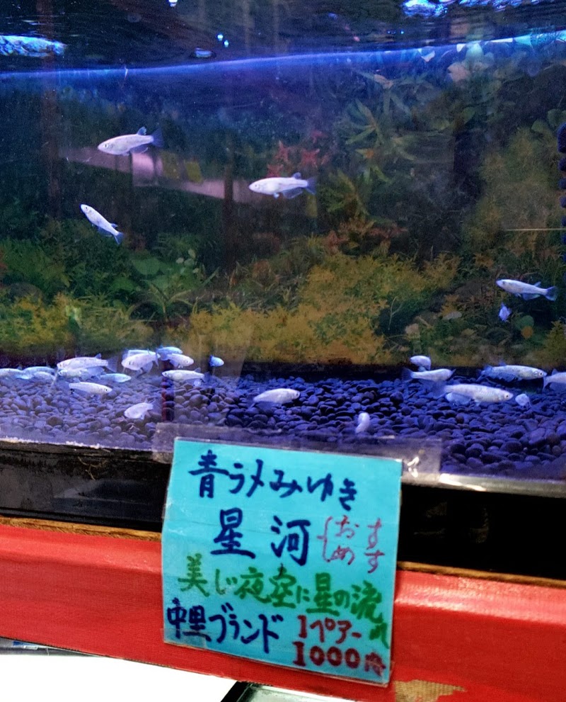 柿崎水魚園