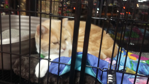 Pet Supply Store «Pet Valu», reviews and photos, 130 Tuttle Rd, Springfield, OH 45503, USA