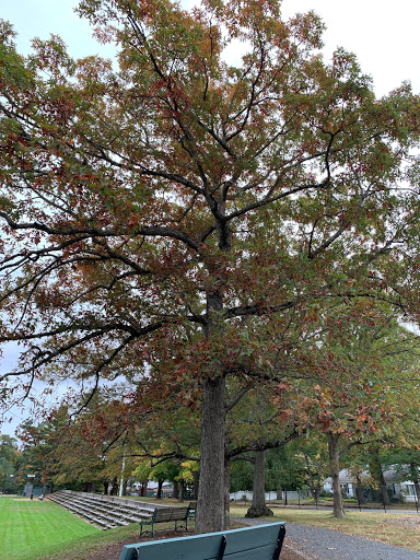 Memorial Park «Frothingham Park», reviews and photos, 15 Park St, North Easton, MA 02356, USA