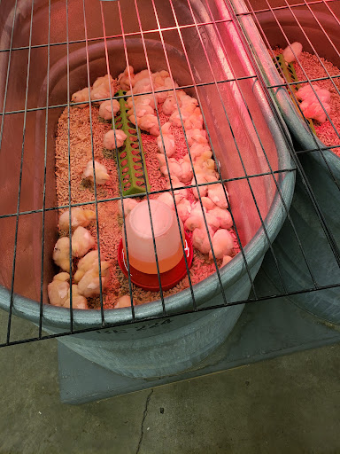 Animal Feed Store «Wilco Farm Store», reviews and photos, 2741 OR-99W, McMinnville, OR 97128, USA