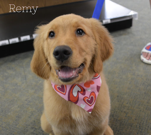 Pet Supply Store «The Natural Pet Enrichment Center», reviews and photos, 6720 Royalton Rd, North Royalton, OH 44133, USA