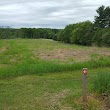 Natural Lands' Hildacy Preserve