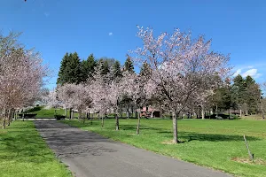 Asaejima Park image