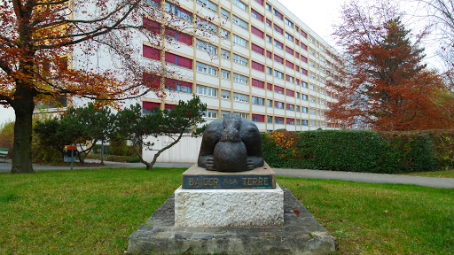 site_photo3