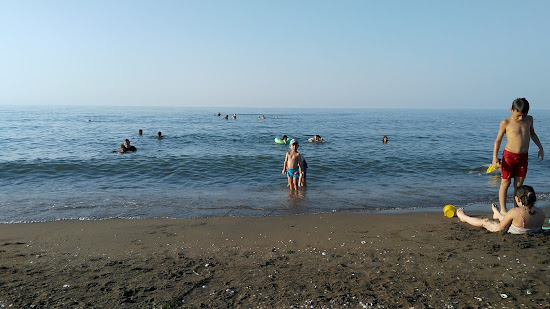 Municipal Beach