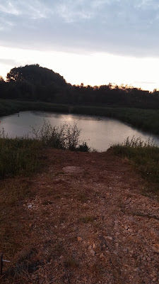 Entreprise Terrassement Ca à Beaurepaire-en-Bresse