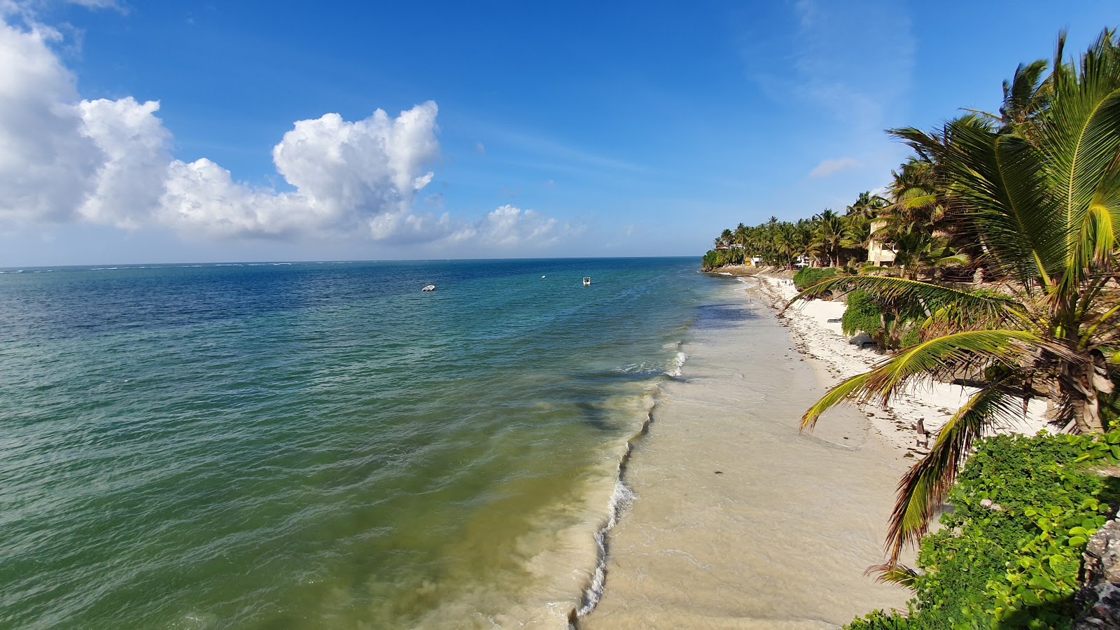Mombasa Beach photo #8