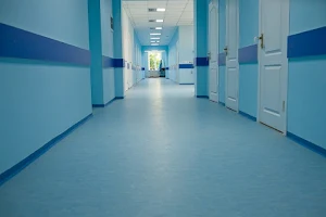 Emilian Coțaga Children's Republican Clinical Hospital image