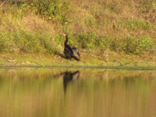 Golf Club «Riverside Club Golf & Marina Community», reviews and photos, 2550 Pier Dr, Ruskin, FL 33570, USA