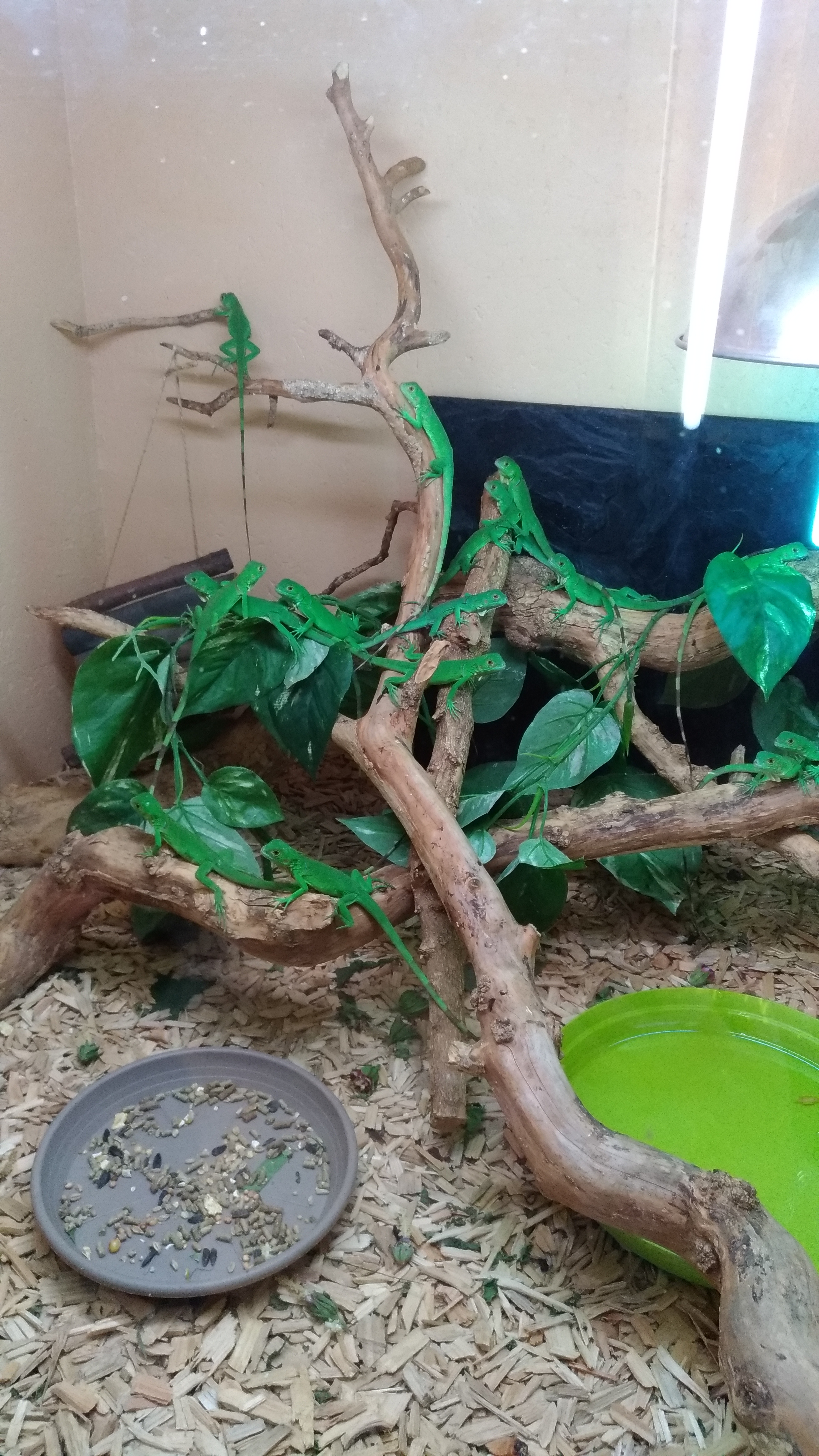 Photo n° 3 de l'avis de Odalisque.2 fait le 21/08/2019 à 20:36