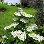 Photo n° 5 de l'avis de Jocelyne.e fait le 08/05/2023 à 17:58 pour Le Jardin du Grand Clos à Le Fœil