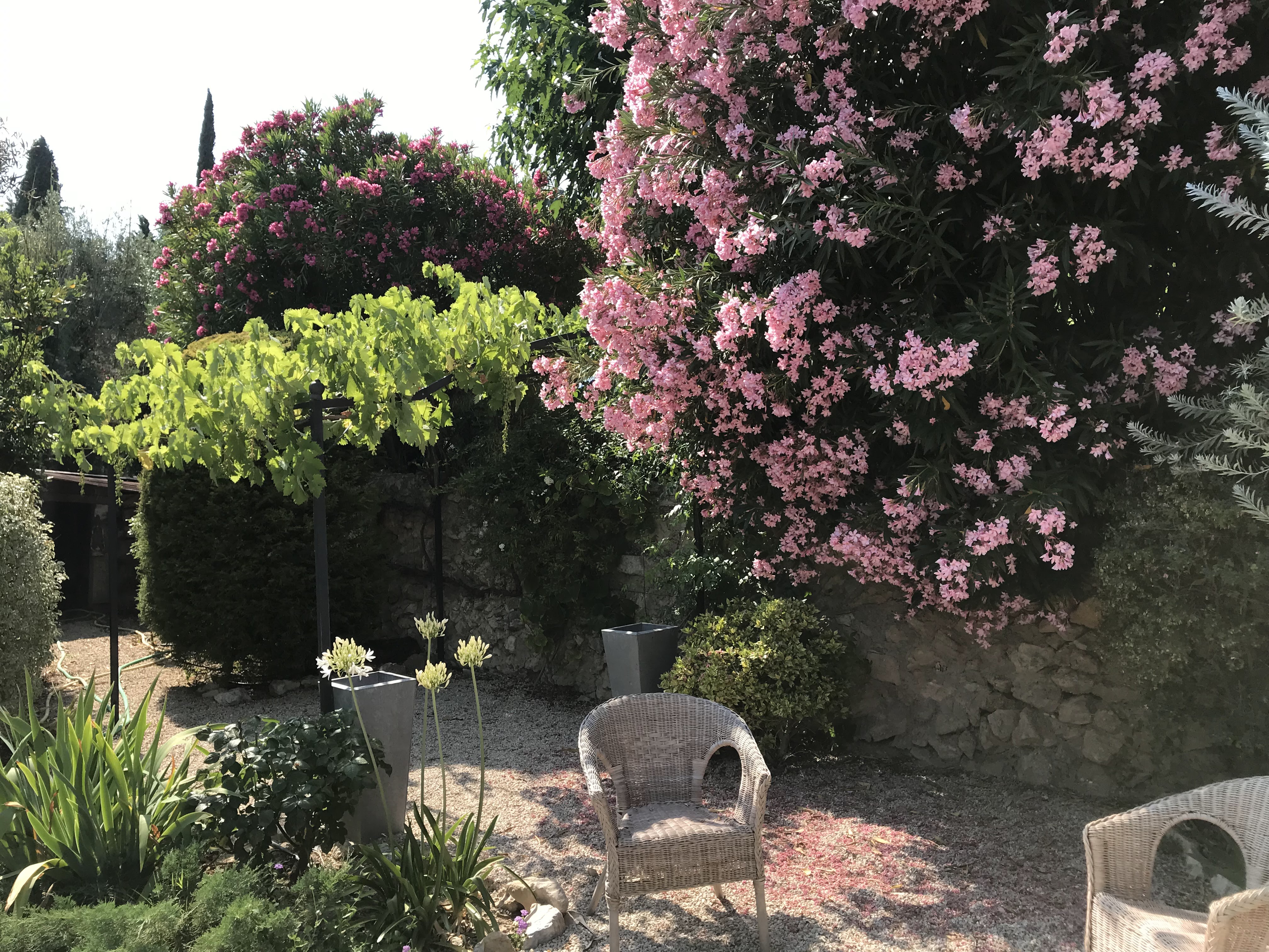 Photo n° 1 de l'avis de Rahi.a fait le 02/07/2019 à 20:26