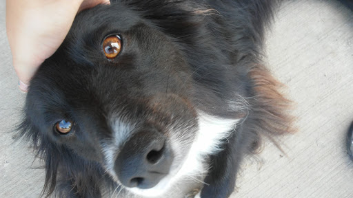 Tire Shop «Wilson Tire», reviews and photos, 5861 OH-656, Marengo, OH 43334, USA