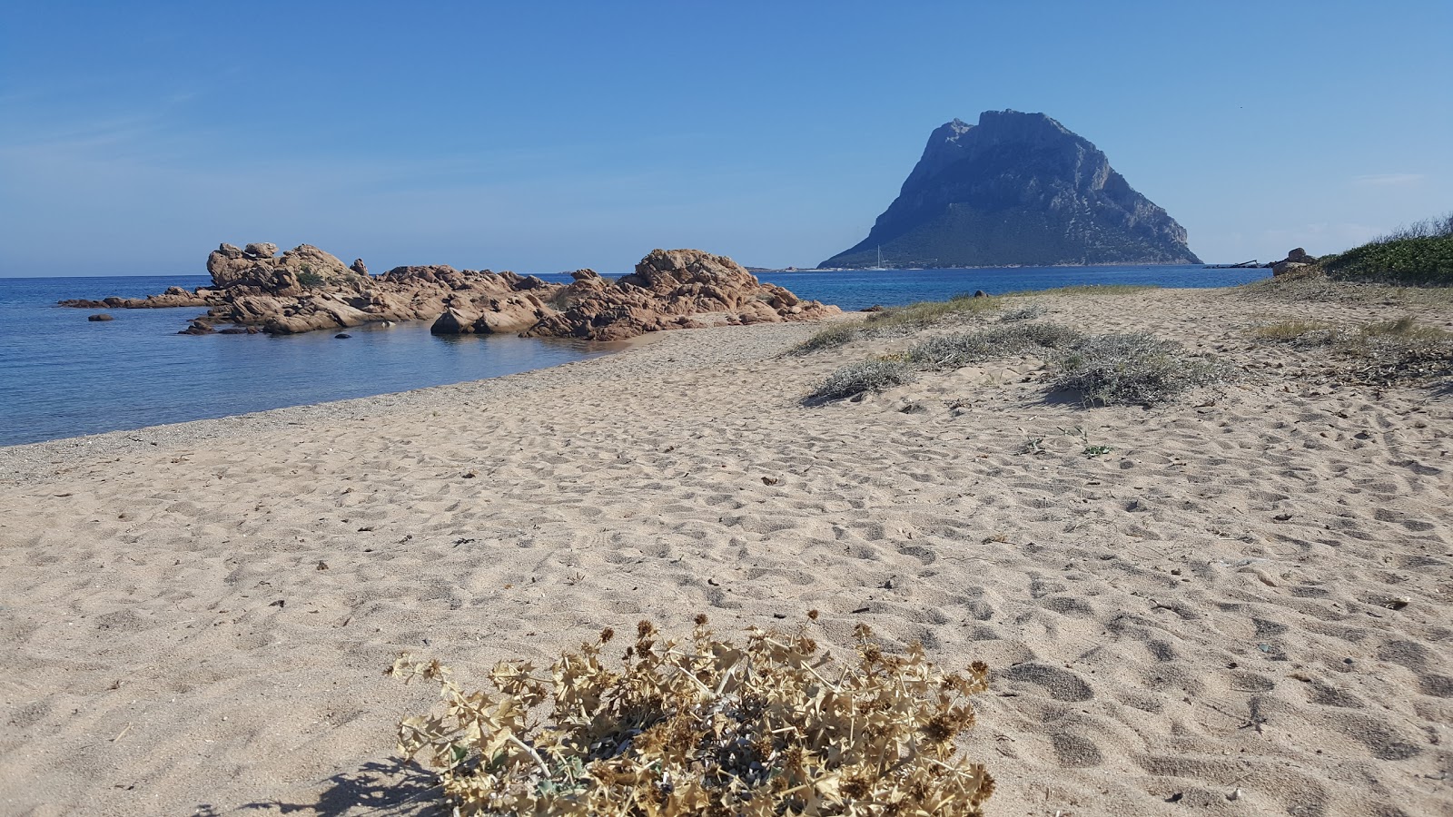 Fotografija Punta Don Diego nahaja se v naravnem okolju