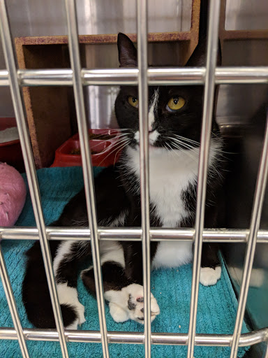 Pet Supply Store «PetSmart», reviews and photos, 4465 US-14, Crystal Lake, IL 60014, USA