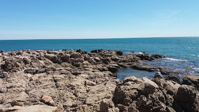 Autonome de solidarite Laique à Sète