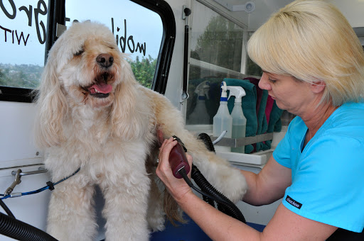 Awesome Doggies Mobile Pet Grooming
