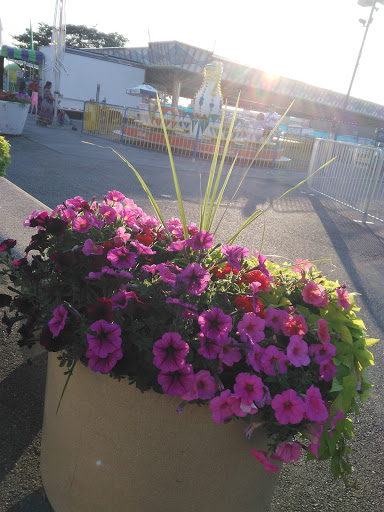 Amusement Park «Adventurers Amusement Park», reviews and photos, 1824 Shore Pkwy, Brooklyn, NY 11214, USA