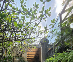 Saka Bistro & Bar photo