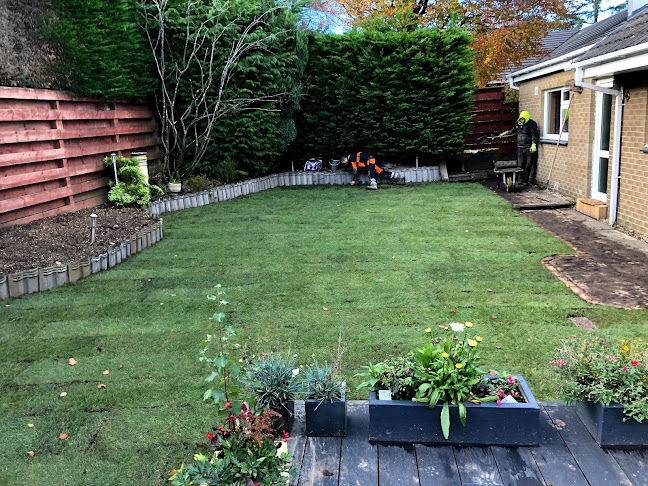 Reviews of Newlands Tree Surgeons in Glasgow - Landscaper