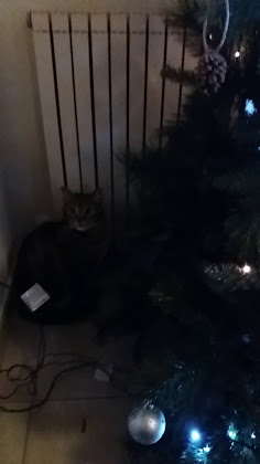 Vidéos Appartamento vacanze Casa Vacanze San Rocco 53018 San Rocco a Pilli