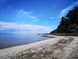 Zdjęcie Kuranui Bay z powierzchnią turkusowa czysta woda