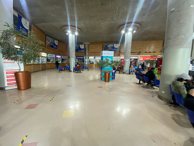 Terminal de Buses Valdivia - Valdivia
