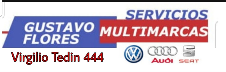 Gustavo Flores Volkswagen Repuestos y servicios