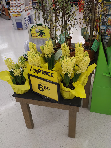 Grocery Store «Food Lion», reviews and photos, 945 N Main St b, Marion, VA 24354, USA