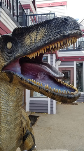 Chocolate Shop «Rocky Mountain Chocolate Factory», reviews and photos, 126 S Main St, Breckenridge, CO 80424, USA