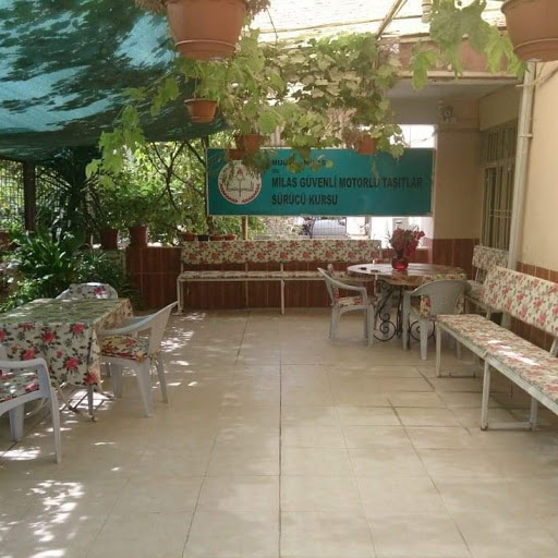 Özel Milas Güvenli Sürücü Kursu